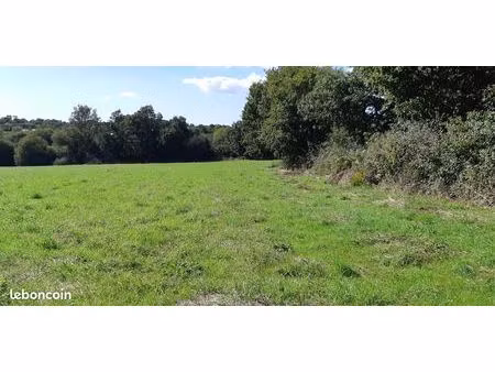 terrain viabilisé daoulas