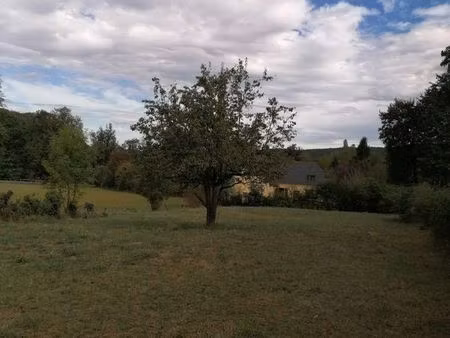 terrain constructible