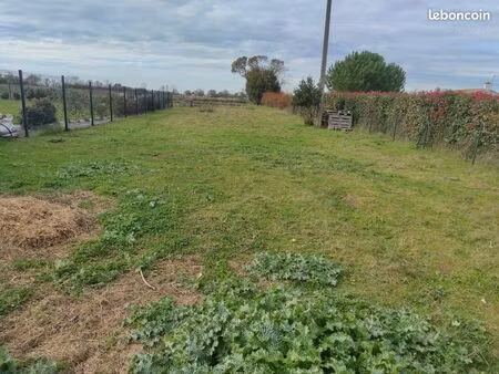 terrain constructible