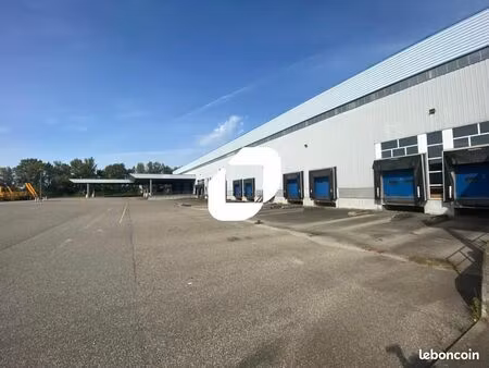 local industriel 13 791 m²