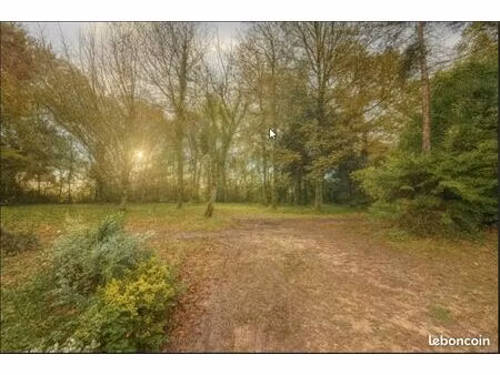 terrain à bâtir viabilisé – 1504 m² – carignan-de-bordeaux (33360) – cadre exceptionnel pr