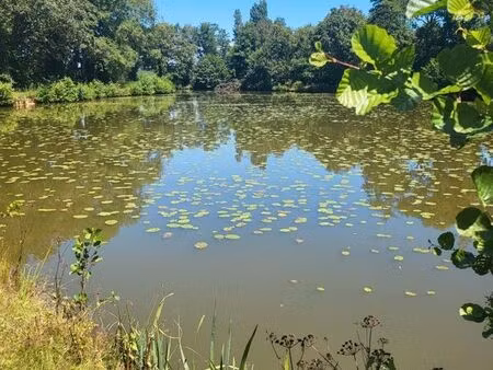 etang terrain de loisir chalet et mobilhome