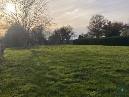 terrain constructible