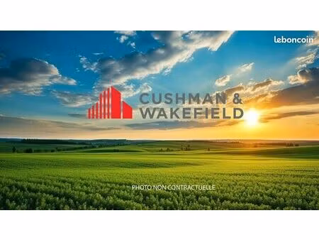 terrain 8 039 m² saint jory