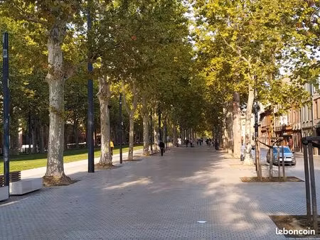 immeuble - jardin des plantes - 166 m2