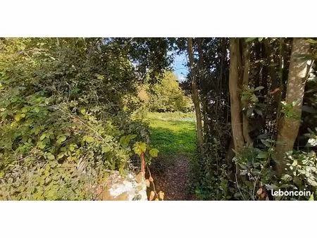 terrain 1000 m² echire