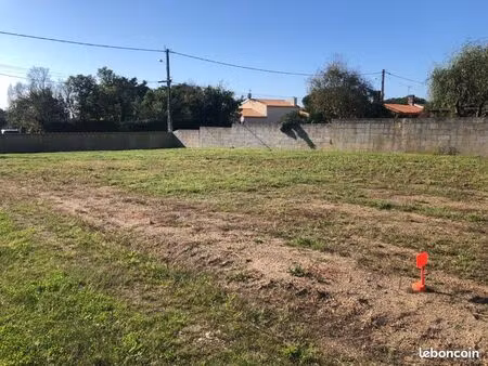 terrain constructible