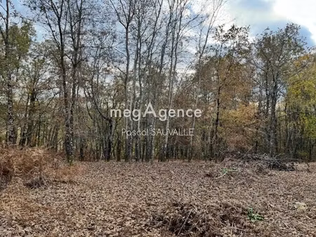 vente terrain à batir 2200 m² à saint-michel-de-villadeix (24380)  38 000 €