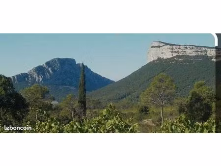 cherche terrain non constructible vue pic saint loup hortus