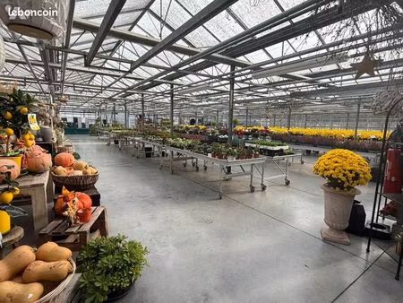 fonds de commerce st martin au laert