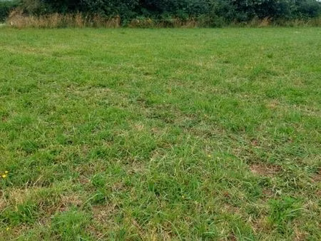 terrains constructibles