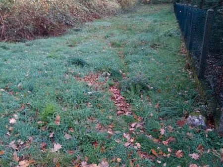 terrain constructible