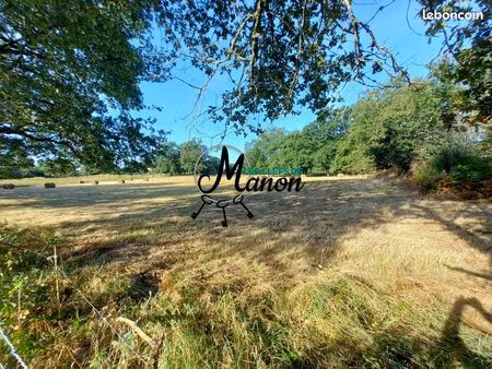 terrain 10611 m² bessines-sur-gartempe