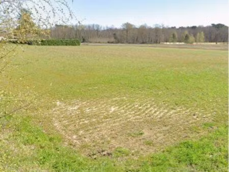 parcelles de terrains nus & stères de taillis scorbé-clairvaux