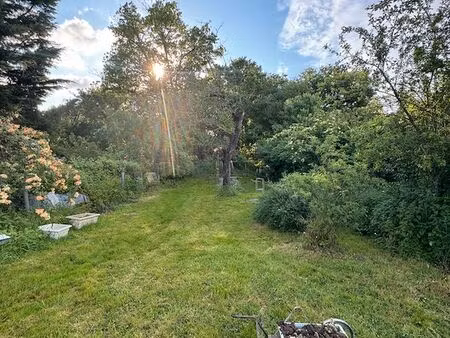 maison au calme terrain