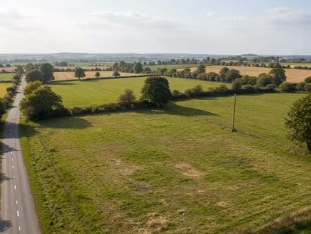 recherche terrain 300 m² – terrain non construit / non exploité