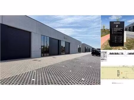 surface industrielle à louer à rivaweg 2 dentergem (rbu76228)