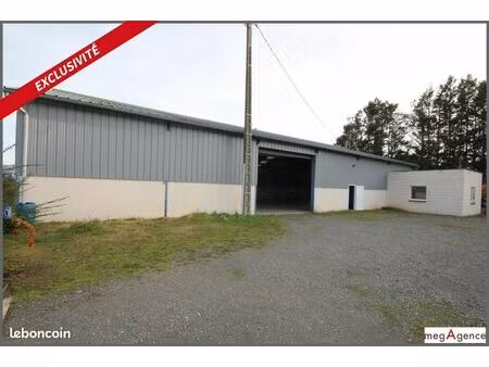 loft/atelier/surface 3 pièces 500 m²