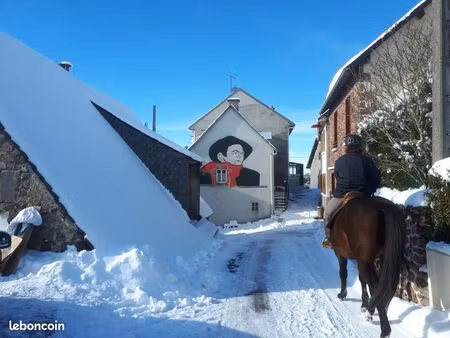 maison de campagne dite buron