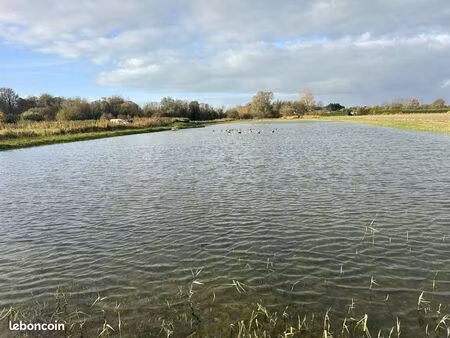 terrain 8390 m² cayeux-sur-mer