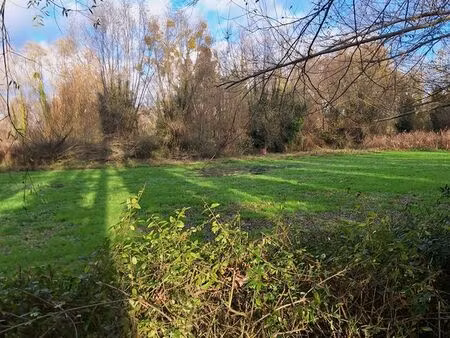 terrain 11332 m² cambron