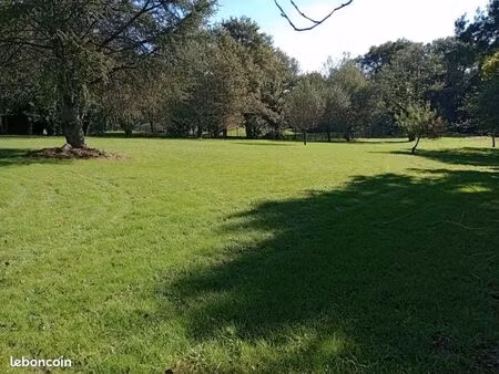 terrain constructible saint junien