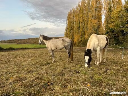 terrain 1ha location