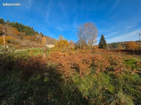 terrain constructible de 10 60 ares dans le hameau des chazelets  42440 les salles