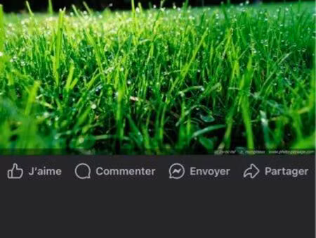 terrain hors lotissement constructible