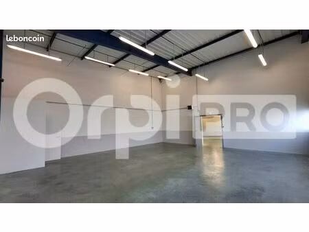 local d'activité 266 m²