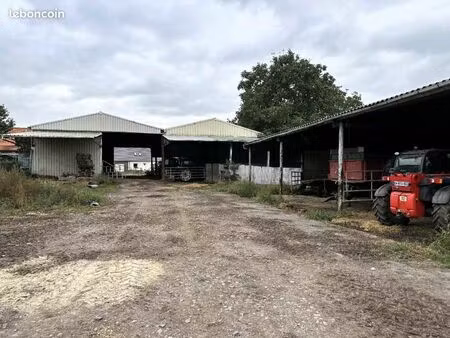 grange 1 243 m² noyelles sous b