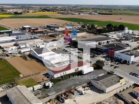 local d'activité 342 m²