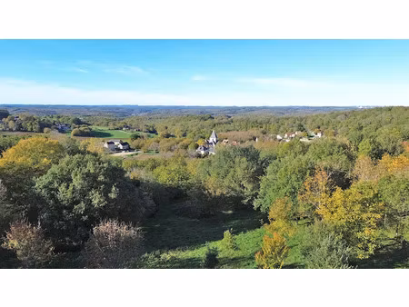 vente terrain 8085 m² à la cassagne (24120)  117 000 €