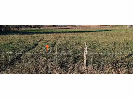 vente terrain 1500 m² à peujard (33240)  138 000 €