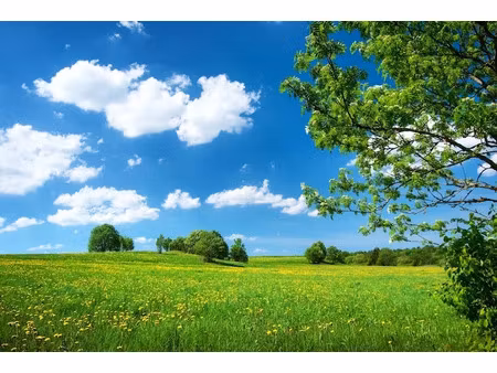 vente terrain 1700 m² à chanteix (19330)  26 000 €