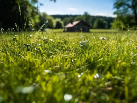 vente terrain 1700 m² à seilhac (19700)  17 000 €