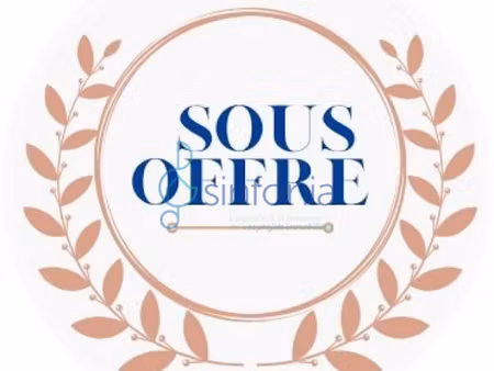 vente locaux professionnels à remoulins (30210)  169 600 €