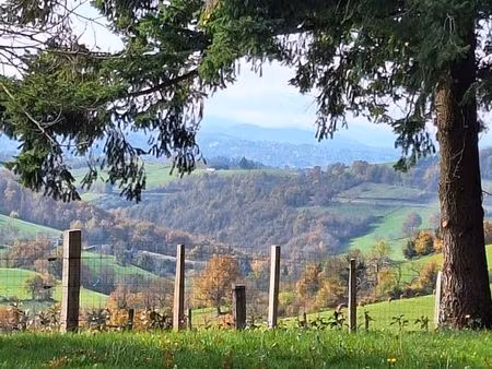 loue maison avec terrain arboré