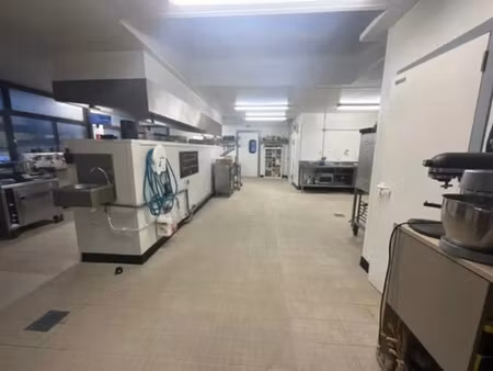 vente locaux professionnels 380 m² à bonneville (74130)  198 000 €