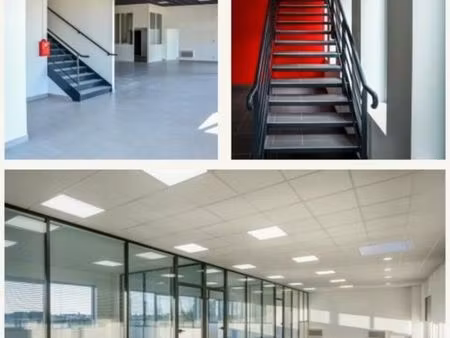 local d'activité 343 m²