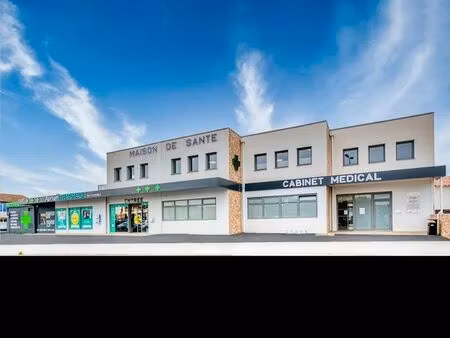 locaux professionels neufs lunel zone commerciale