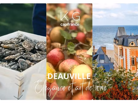 vente locaux professionnels 219 m² à deauville (14800)  623 300 €
