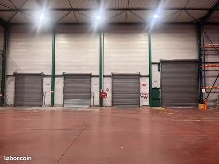 cellule d'activité 6000m²