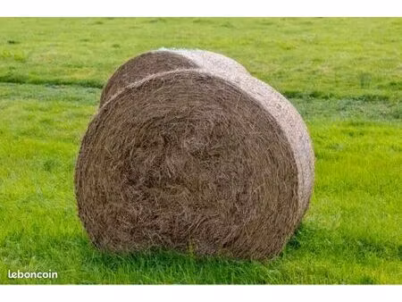 location de pré pour fermage