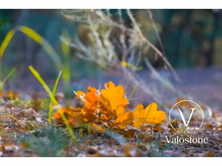 achat terrain 11 330m² geaune 40320