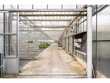 serre op agrarische grond met logistieke toegangsweg