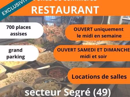 vente bureaux et commerces à segre (49500) : à vendre / 1800m² segre