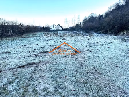 exclusivité - terrain constructible de 5728 m² à arches - pro