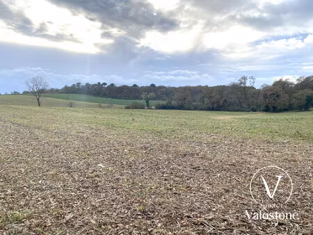 terrain à vendre castelnau-tursan