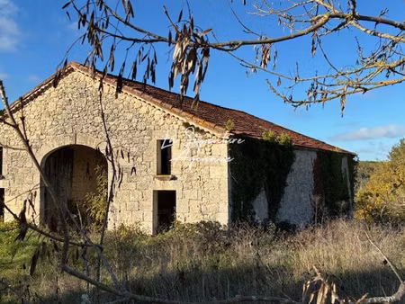 grange en pierre et maison à rénover environnement isolé